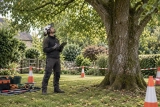 Conseil élagage brico-relax.fr🌳Comment tailler, élaguer les Arbres